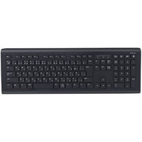 ナカバヤシ（Digio2）　ワイヤレス(無線)静音キーボード　ブラック　メンブレン式/110キー/アイソレーションタイプ　FKB-R245BK