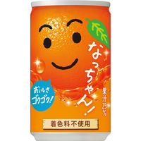 サントリー なっちゃんオレンジ 160g 1セット（60缶）