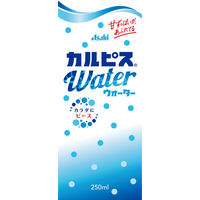 カルピス カルピスウォーター 250ml 紙パック 1セット（48本）