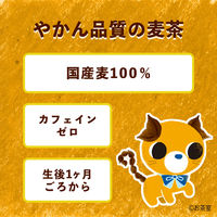 伊藤園 健康ミネラルむぎ茶 こどもむぎ茶（紙パック）125ml 1セット（72本）【麦茶】