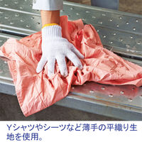 箱入シマウエス 1ケース（20kg入） エイ・エム・ジェイ（直送品）