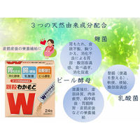 わかもと製薬 顆粒わかもと 1箱（24包入） 顆粒/24包 4987243114502