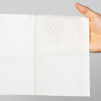 アスクル トイレのおそうじシート 無香料 詰替用 1箱（24個入） オリジナル