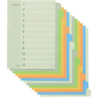 アスクル　カラーインデックス　A4タテ　インデックスシート　2穴　12山　5組  オリジナル