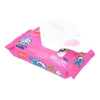 【おしりふき】【トイレに流せる】ピジョンタヒラ ハビナース トイレに流せるおしりふき大判厚手 1パック（40枚入）