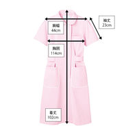 住商モンブラン ナースワンピース（半袖） 医療白衣 ピンク/白 3L 73-1434（直送品）