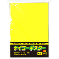ササガワ ケイコーポスター A3判 レモン 13-5185 1冊(100枚入)