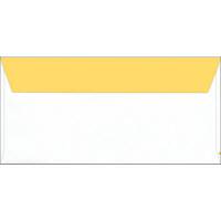 ササガワ 商品券袋 横封 9-361 1箱(100枚入)