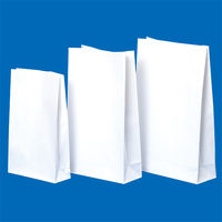 シンリョウ　プリンター用薬袋角底M　無地　500960　1箱（500枚入）