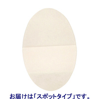 東洋化学　キズクイック　スポットサイズ　１２枚　4960085990107　１２枚