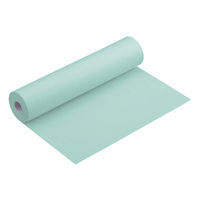 オオサキメディカル 検診用ロールシーツノンスリップタイプ（滑り止め付きタイプ）37×30cm（120回分） 全長36m フィルム包装 1本 84115