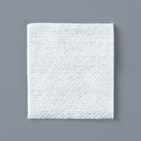 不織布ガーゼ 10×10cm 1包（200枚入） ASKJNW2510  オリジナル