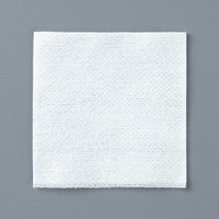 不織布ガーゼ 15×15cm 1包（200枚入） ASKJNW2515  オリジナル