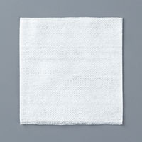 不織布ガーゼ 20×20cm 1包（200枚入） ASKJNW2520  オリジナル