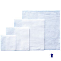 不織布ガーゼ 25×25cm 1包（200枚入） ASKJNW2525  オリジナル