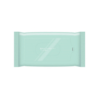 トイレクリーナー　小判・薄手タイプ　ミントの香り　1箱（24枚入×24個）