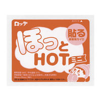 ほっとHOT貼るミニ10P 1パック（10個入） ロッテ