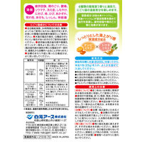 いい湯旅立ち 粉末薬用入浴剤 ゆったりやわらか にごり湯の宿 1箱（12包入）白元アース