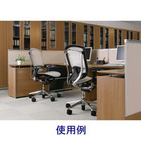 CM32AB FBF1 |オカムラ コンテッサ オフィスチェア クッション座 ポリッシュフレーム 肘付 ブラック 1脚（直送品）