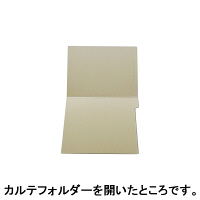 ケルン　KS-720　TDカルテフォルダー（見開き/抗菌ケルンボード製）　B5ヨコ　1パック（100枚入）　（直送品）