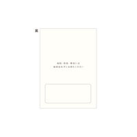 【アスクル限定】カプセルおくすり手帳 32ページ 1袋（50冊入）  オリジナル