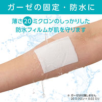 共和 ミリオンエイド ドレッシングテープW（5M） 150mm×5m no150 1巻