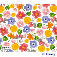 シヤチハタ ネーム9着替P CH＆C ミニー3 2本 XL-9PKHC/H-DN3（直送品）