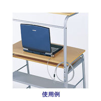 サンワサプライ eセキュリティ SLE-9S 1本