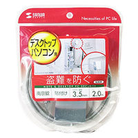 サンワサプライ デスクトップパソコンセキュリティ SL-022K 1本