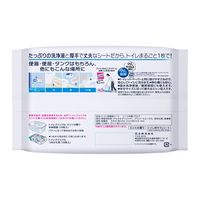 トイレクイックル　詰替ジャンボパック　ミントの香り　1パック（20枚入）　花王