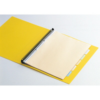 キングジム　クリアファイル 差し替え式　5冊 A4タテ背幅49mm　カラーベース　黄　139-3