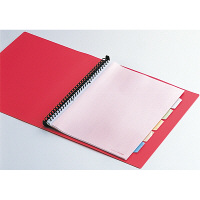 キングジム　クリアファイル 差し替え式　5冊 A4タテ背幅49mm　カラーベース　赤　139-3