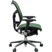 【軒先渡し】 エルゴヒューマン エンジョイ ロータイプ オフィスチェア エラストメリックメッシュ 肘付 ダークグリーン EJ-LAM 1脚（直送品）