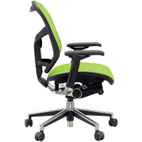 【軒先渡し】 エルゴヒューマン エンジョイ ロータイプ オフィスチェア 3Dファブリックメッシュ 肘付 グリーン EJ-LAM 1脚（直送品）