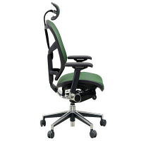 【軒先渡し】 エルゴヒューマン エンジョイ ハイタイプ オフィスチェア エラストメリックメッシュ 肘付 ダークグリーン EJ-HAM 1脚（直送品）