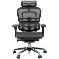 【組立設置込】エルゴヒューマン ベーシック ハイタイプ オフィスチェア エラストメリックメッシュ 肘付 ブラック/KM11 EH-HAM 1脚