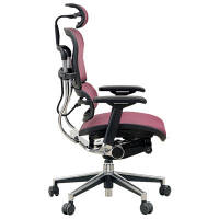 【組立設置込】エルゴヒューマン ベーシック ハイタイプ オフィスチェア メッシュ張り 肘付 ダークレッド EH-HAM RD(KM-12) 1脚（取寄品）