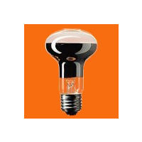 パナソニック　屋内用レフ電球　40W形　RF100V36WD