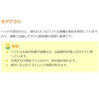 【粘膜ブラシ】 介護用歯ブラシ オーラルケア モアブラシ 1セット（12本入）