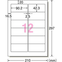 エーワン（A-one）ラベルシール パソコン＆ワープロ NEC文豪2列用 宛名 プリンタ兼用 封筒  A4 12面  100シート 徳用 28172