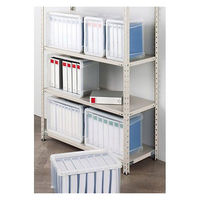 アイリスオーヤマ　ファイルコンテナ（B4）　55L　クリア　FRC-55　1個