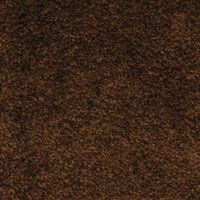 クリーンテックス・ジャパン スタンダードマットECO75X90cmココアBR standards75x90 1枚