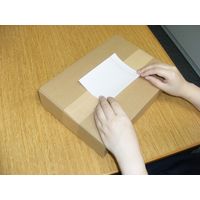 デリバリーパック 完全密封タイプ 全面糊 透明 A7用 PA-017T パピルスカンパニー 1パック（100枚入）