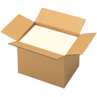 【底面B4】【100サイズ】　無地ダンボール　B4×高さ295mm　S-3　1梱包（10枚入）