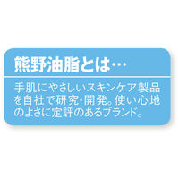 熊野油脂 セディア 弱酸性薬用泡ハンドソープ 無香料 詰替え 業務用4L 1個 【泡タイプ】