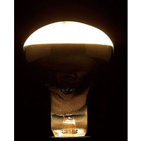 レフ電球100W形 長寿命 RF100110V90WL ヤザワコーポレーション