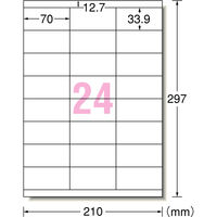 エーワン（A-one）ラベルシール 表示・宛名ラベル マット紙 レーザー 封筒 シール ステッカー A4 24面 1，000シート 徳用 31163