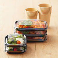 リスパック ハイクッカー H-APS 200BN 本体 RHIH002 1袋（50枚入）