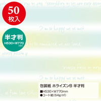 ササガワ 包装紙 ホライズンB 49-1138 1袋(50枚入)