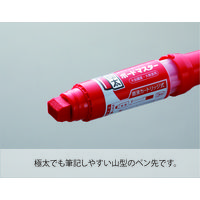 パイロット ホワイトボードマーカー ボードマスター 極太 青 WMBM-25J-L